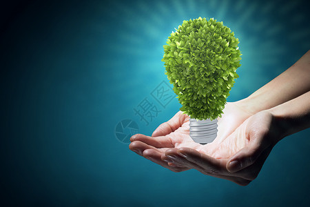 绿色能源手持生态灯泡能量图片