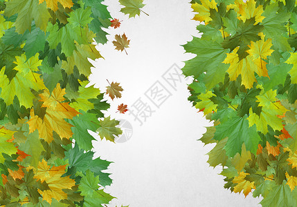 秋天的叶子背景图像图片