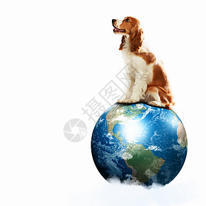 地球英雄素材狗与地球狗与地球行星趣的拼贴画这幅图像的元素由美国宇航局提供的背景
