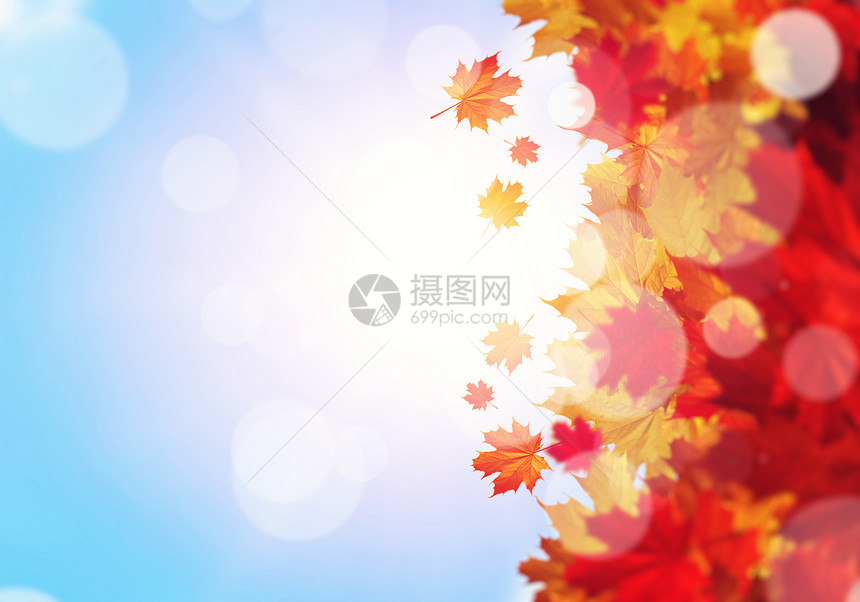 秋天的背景背景上五颜六色的叶子的图像文字的位置图片