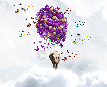 会飞的大象大象堆五颜六色的气球上天空中飞翔图片