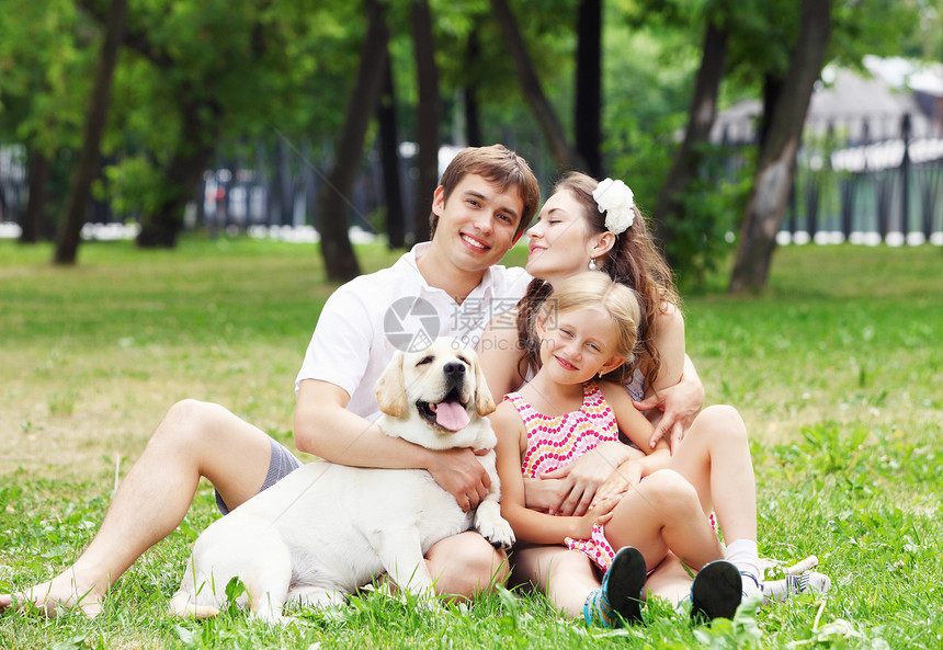 快乐的家庭户外玩得开心夏天公园里的轻家庭只狗户外图片