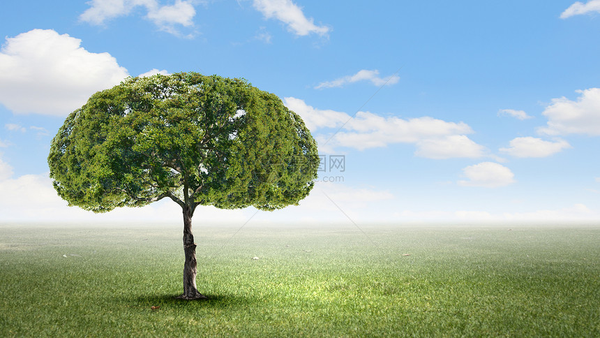 空气污染绿色树的形象,形状像大脑图片