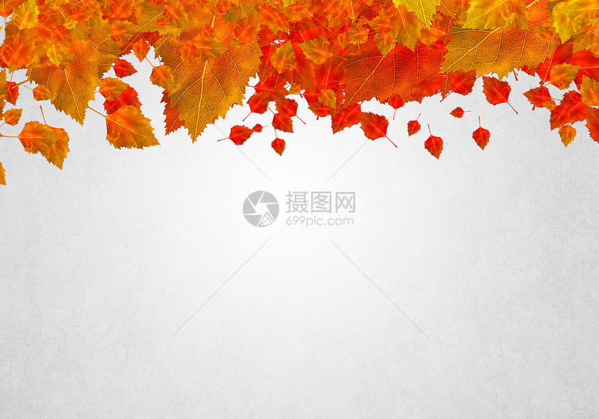 秋天的背景白色背景上五颜六色的叶子的图像文字的位置