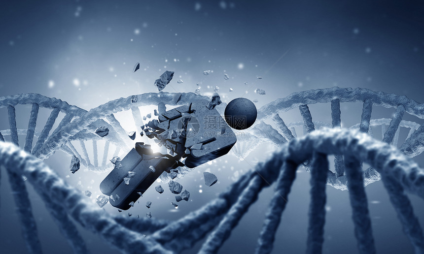 DNA分子研究DNA分子男的生物化学图片