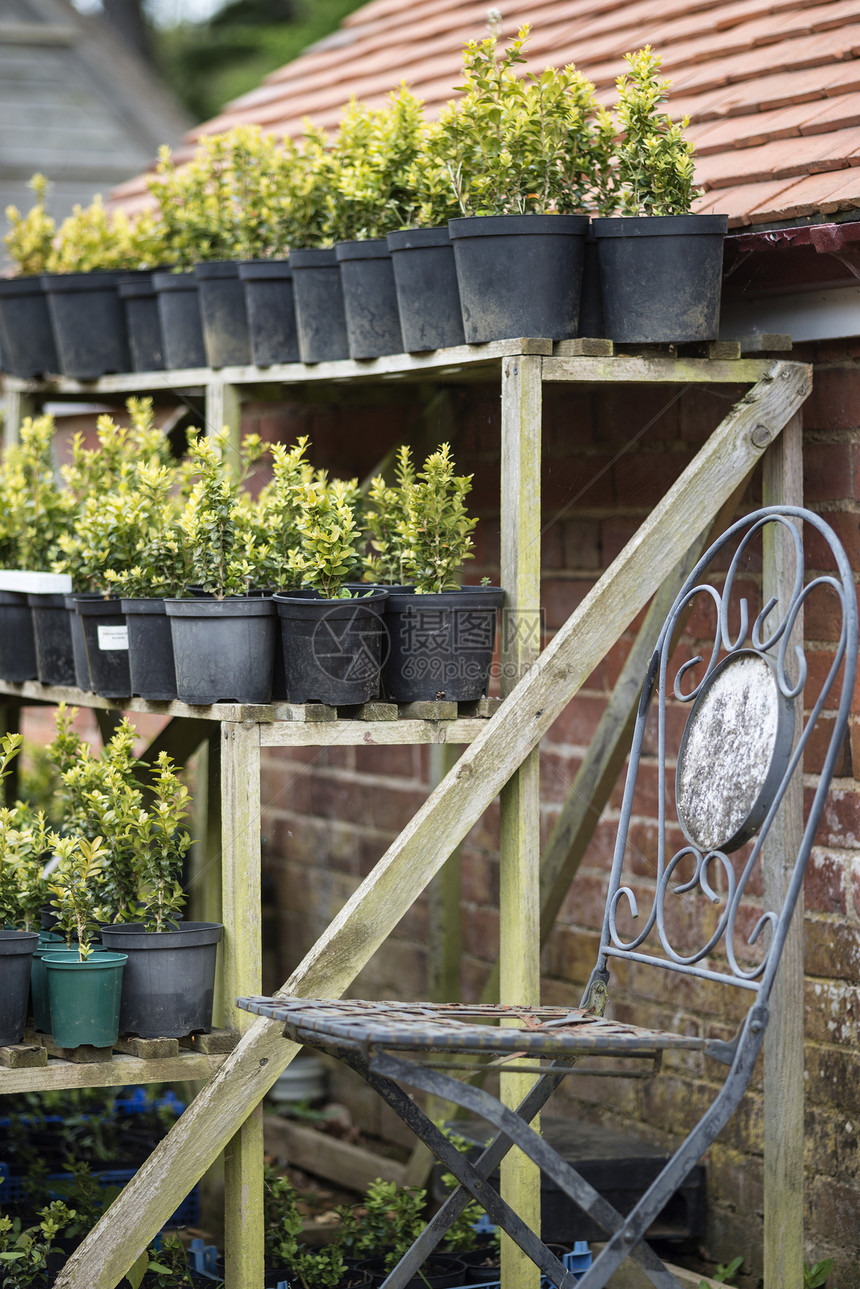 美丽的老式盆栽大棚外部细节英国乡村花园图片