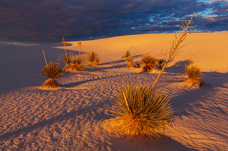 寻常的白色沙丘白沙纪念碑,新墨西哥,美国高清图片