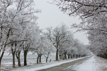 冬天的小巷图片