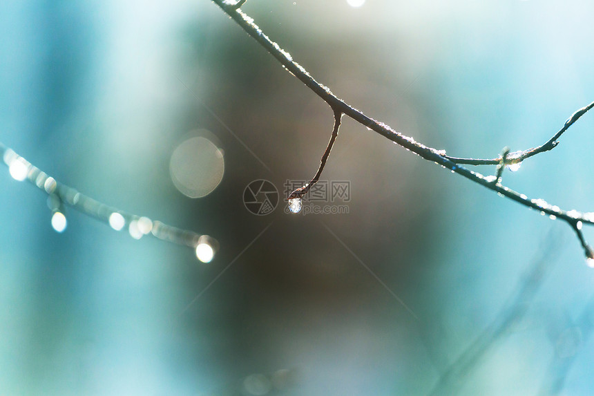 雨后图片