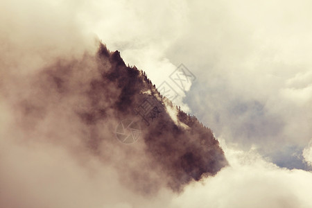 高山上的雾图片