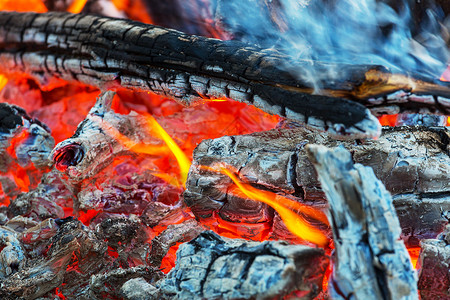 森林里的篝火木材高清图片素材