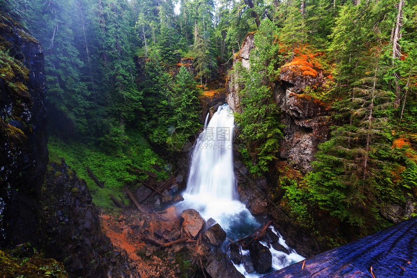 加大温哥华岛美丽的瀑布图片