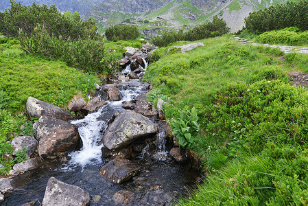 山中流水的小溪图片