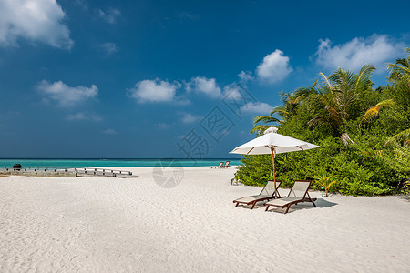 马尔代夫美丽的海滩,南雄环礁背景