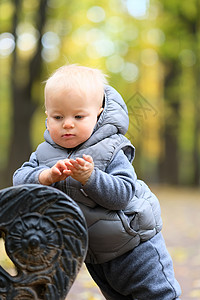 户外穿着温暖背心夹克的蹒跚学步的孩子的肖像秋天公园的岁男孩背景