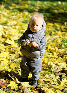 户外穿着温暖背心夹克的蹒跚学步的孩子的肖像岁的小男孩,秋天公园里枫叶背景