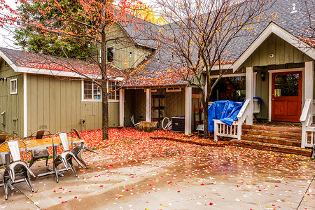 秋天的雨天,带花园后院的住宅潮湿的人行道上飘落的黄色红色的秋叶背景图片