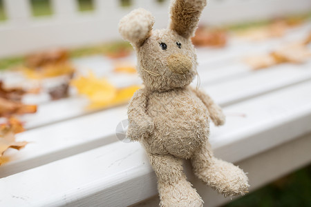 季节,童孤独的孤独的玩具兔子秋天公园的长凳上图片