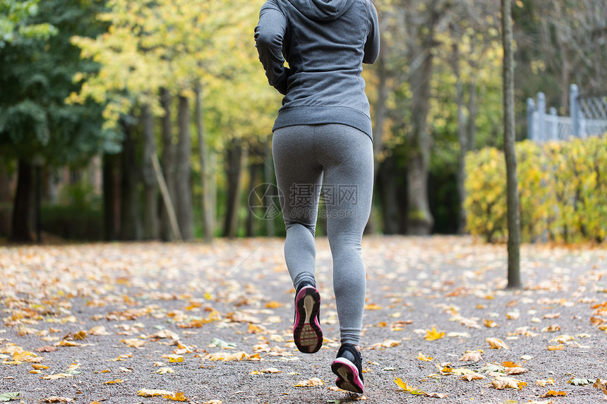 健身,运动,人,穿健康的生活方式密切轻妇女秋季公园跑步图片