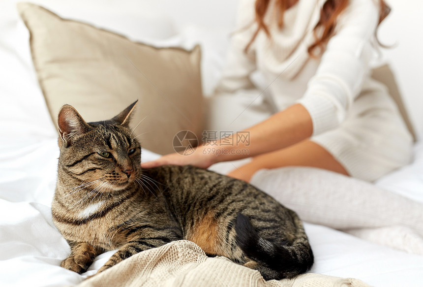 宠物,舒适,休息人的轻的女人带着猫家里睡觉图片