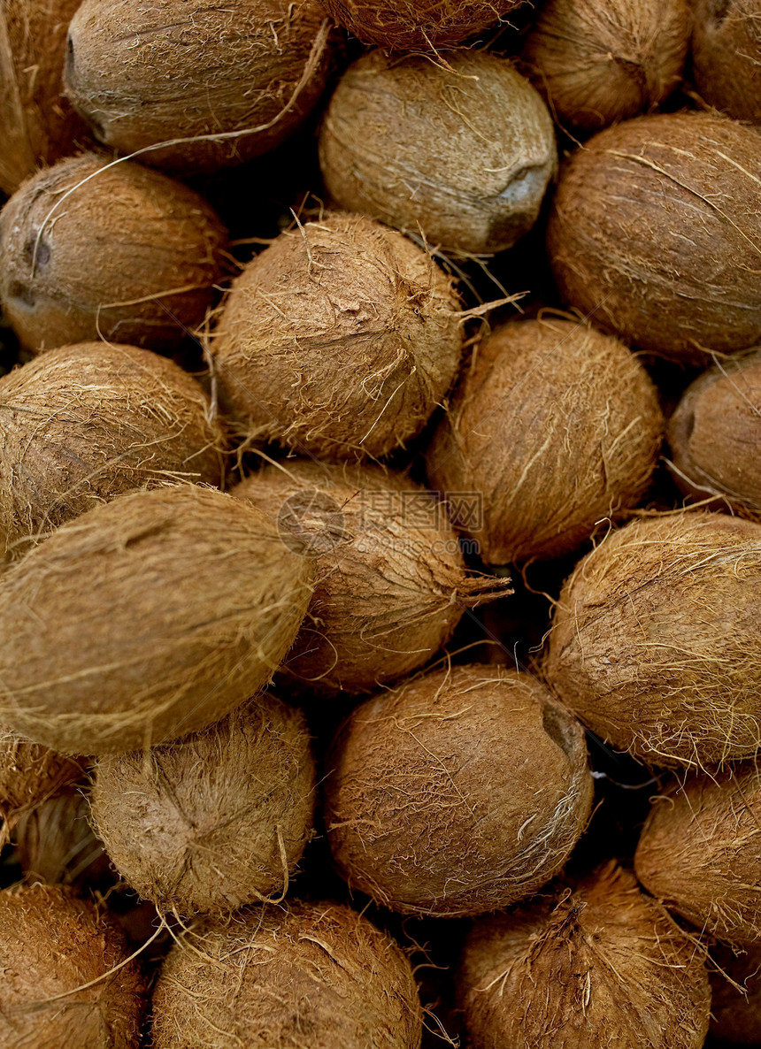 收获粮食农业椰子的图片