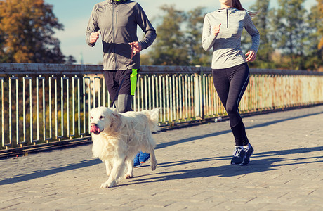 健身,运动,人慢跑的密切夫妇与狗户外跑步亲密的情侣狗户外跑步图片