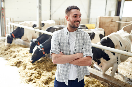 农业,人畜牧业的快乐的微笑轻人农民与牛群奶牛场的牛棚奶牛场的牛舍里养牛的人农民背景图片