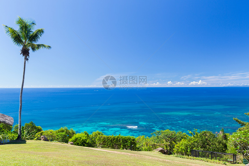 旅行,景观自然岛屿印度洋与棕榈树岛上看印度洋棕榈树图片