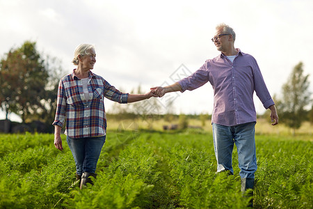 农业,园艺,农业人的快乐的老夫妇牵手夏季农场快乐的老夫妇夏天的农场牵手图片