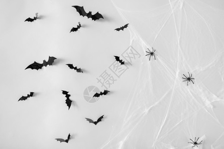 万节,装饰可怕的黑色飞行蝙蝠蜘蛛网上白色背景万节装饰蝙蝠蜘蛛网上图片