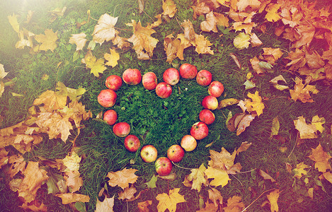 水果心形素材季节,自然,爱,情人节环境的苹果的心形秋天的叶子草地上心形的苹果草地上的秋叶背景