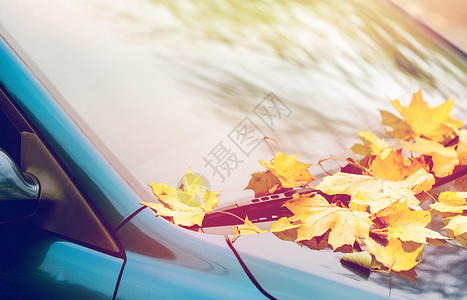 季节运输汽车雨刷与秋季枫叶挡风璃上用秋叶汽车雨刷图片