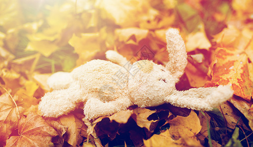 季节,童孤独的孤独的玩具兔子秋天落叶秋天落叶中的玩具兔子图片