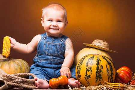 可爱的婴儿南瓜的背景上摆姿势感恩节的问候明信片感恩节图片