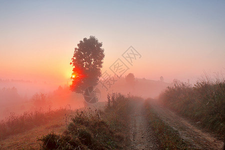 雾蒙蒙的早晨的土路雾蒙蒙的乡村山丘雾蒙蒙的秋日日出山上图片