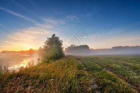 夏天的薄雾日出河上早上雾的河夏天朦胧的黎明雾蒙蒙的早晨图片