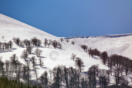 美丽的阿尔卑斯山冬季全景鸟瞰景观与山体背景图片