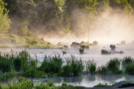 海伦朦胧的阳光明媚的早晨河上鸟蛙啄食野生动物雾状河流景观图片