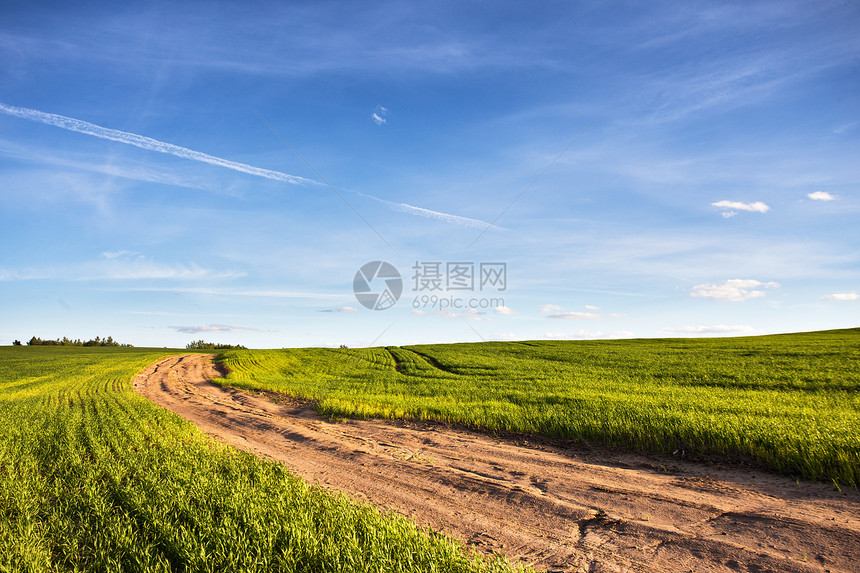 绿色麦田的泥土乡村道路夏天的风景青草蓝天下通往地平线的道路图片