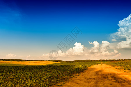 夏季景观与绿色玉米谷物田地道路云元素通往远处的土路背景图片