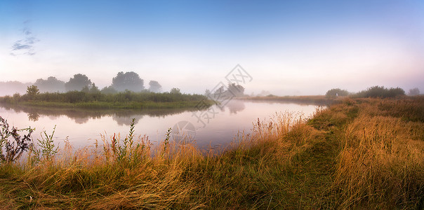 早上雾的河全景温暖的夏日早晨夏季薄雾日出全景图片