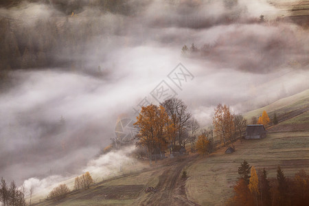 山村雾云中,秋天的早晨山上的农场森林里的薄雾图片