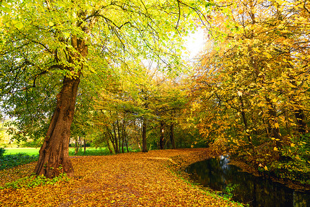 秋天的自然与条小径穿过秋天的公园,秋天的秋天色彩斑斓图片