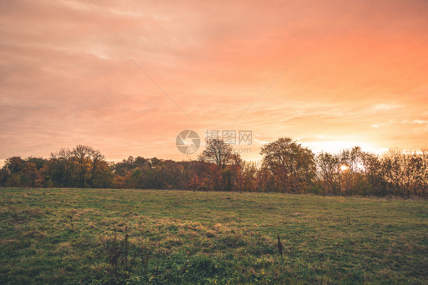 乡村夕阳与橙色天空中的乡村景观与绿色的草地五颜六色的树木秋天图片