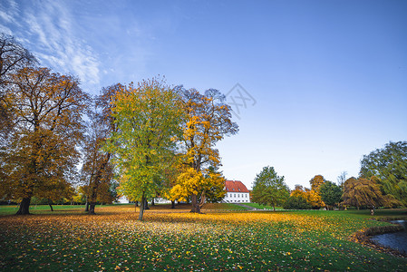 秋天的景观与落叶五颜六色的树木秋天的季节,秋天的公园里,秋叶地上图片