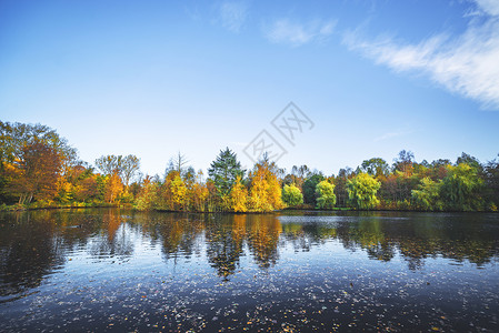 秋天的风景与湖泊树木美丽的秋天颜色黄色橙色秋天与秋叶黑暗的水图片