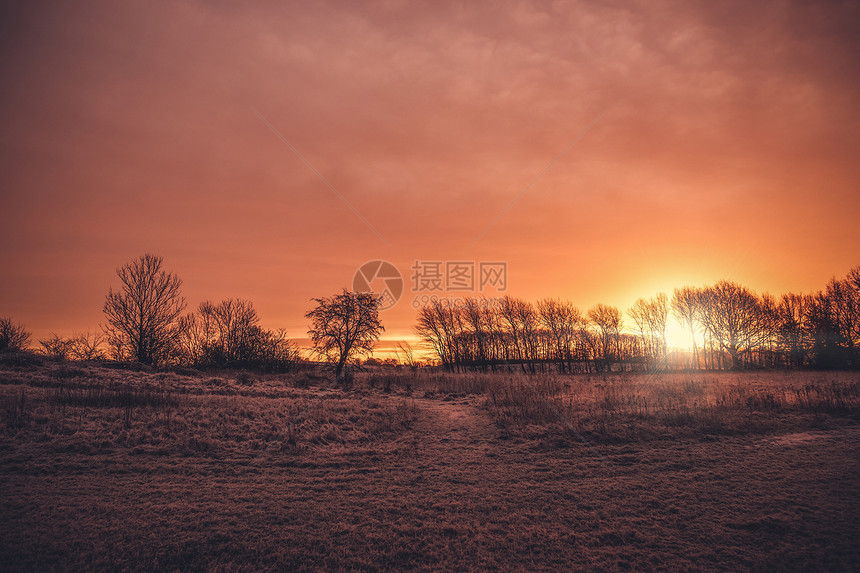 美丽的日出个乡村景观早晨与树木剪影的田野上与霜冻冬天图片