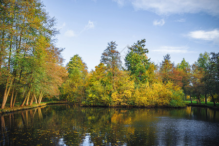 秋天的风景与个小湖周围的树木秋天的颜色与树反射水秋天的叶子图片