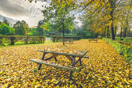 秋天,秋天的落叶公园的长凳上,秋天的枫叶五颜六色的,颜色图片