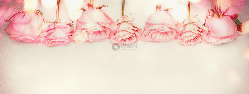 粉红色玫瑰花边与博凯照明,粉彩,横幅图片